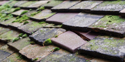 Ascot roof repair costs